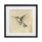 Stupell Industries Vintage Hummingbird Sketch Framed Print Under Glass, design by Petal Prints Design